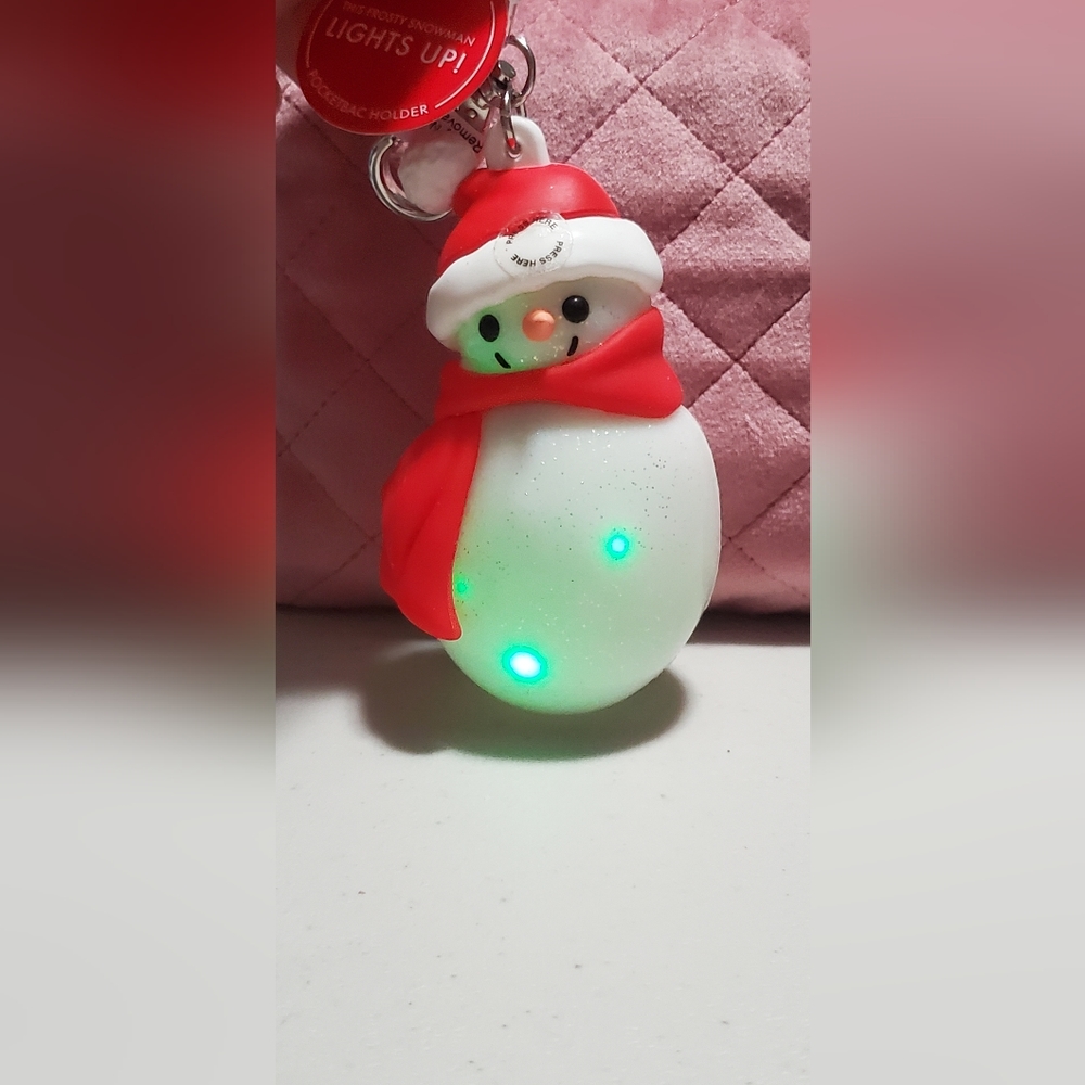 Pocketbac holder keychain